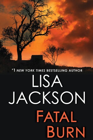 Cover of Fatal Burn