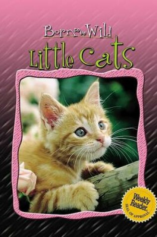 Cover of Little Cats