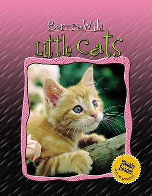 Cover of Little Cats