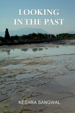 Cover of Looking in the Past