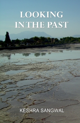 Book cover for Looking in the Past