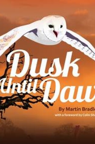 Cover of Dusk Until Dawn