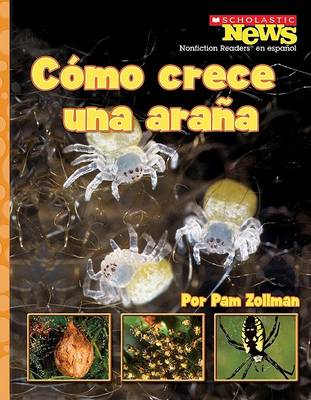 Book cover for Como Crece una Arana
