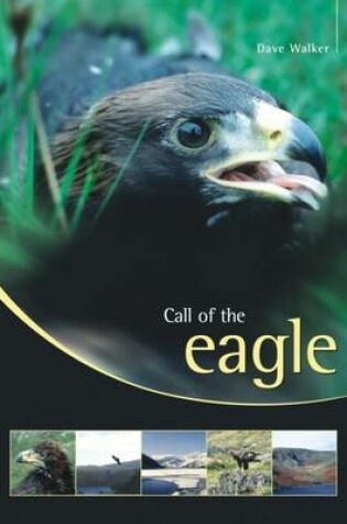 Cover of Call of the Eagle