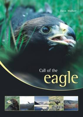 Book cover for Call of the Eagle