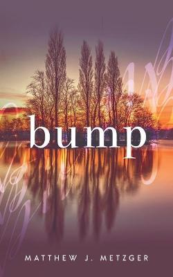 Book cover for Bump
