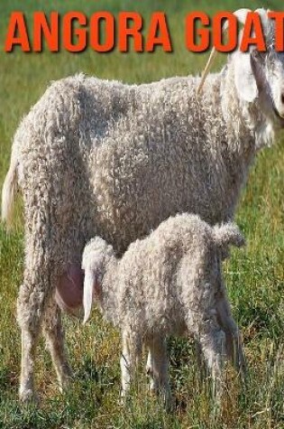 Cover of Angora Goat