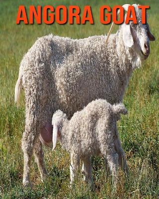 Book cover for Angora Goat