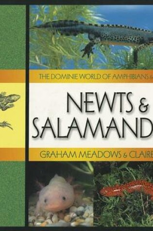 Cover of Newts & Salamanders