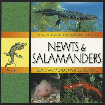 Book cover for Newts & Salamanders