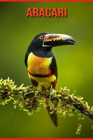 Cover of Aracari