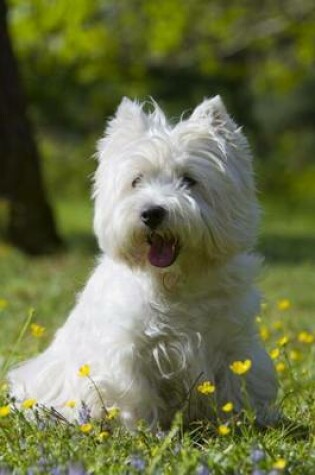 Cover of West Highland White Terrier