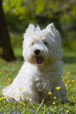 Book cover for West Highland White Terrier