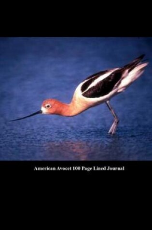 Cover of American Avocet 100 Page Lined Journal