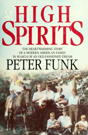 Book cover for High Spirits