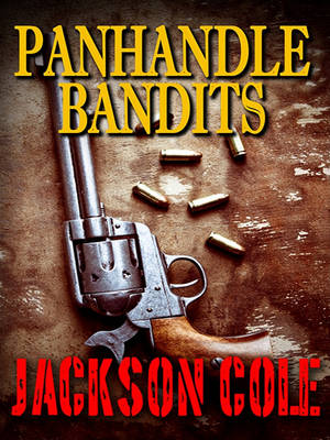 Book cover for Panhandle Bandits