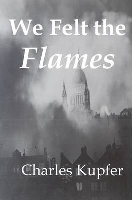 Book cover for We Felt the Flames