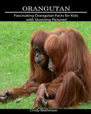 Cover of Orangutan