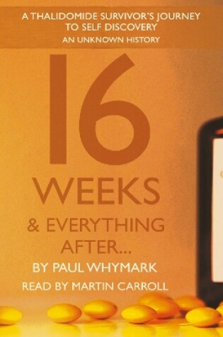 Cover of 16 Weeks and Everything After...