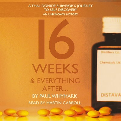 Book cover for 16 Weeks and Everything After...