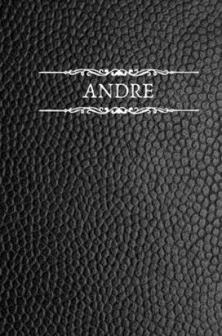 Cover of Andre