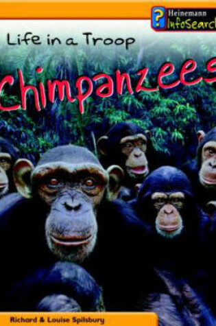 Cover of Animal Groups: Life in a Troop of  Chimpanzees