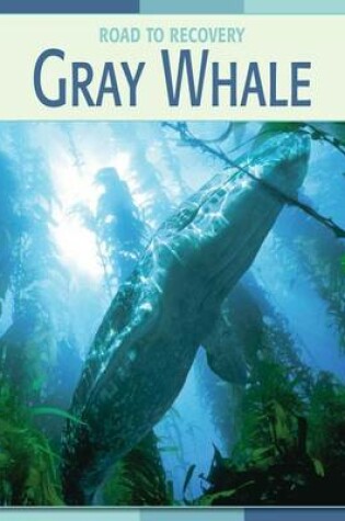 Cover of Gray Whale