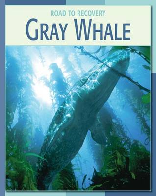 Book cover for Gray Whale