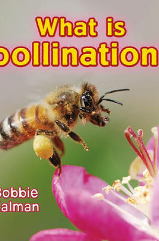 Cover of What Is Pollination?