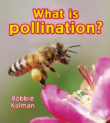 Book cover for What Is Pollination?