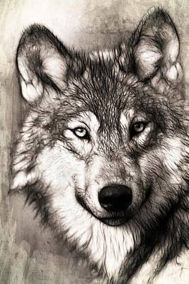 Book cover for A Drawing of a Wolf, for the Love of Animals