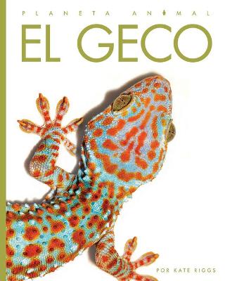 Book cover for El Geco