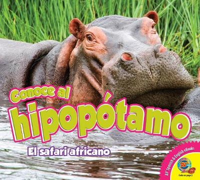 Cover of Conoce Al Hipopótamo