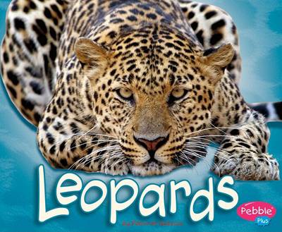 Book cover for Leopards