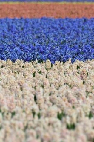 Cover of Red, White, and Blue Hyacinth (for the Love of Flowers)