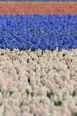 Book cover for Red, White, and Blue Hyacinth (for the Love of Flowers)