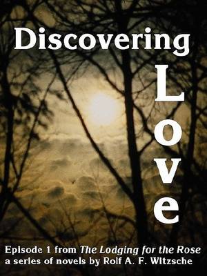 Cover of Discovering Love