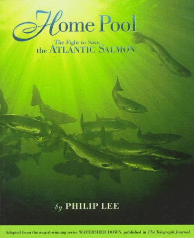 Book cover for Home Pool