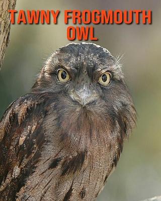 Book cover for Tawny Frogmouth Owl