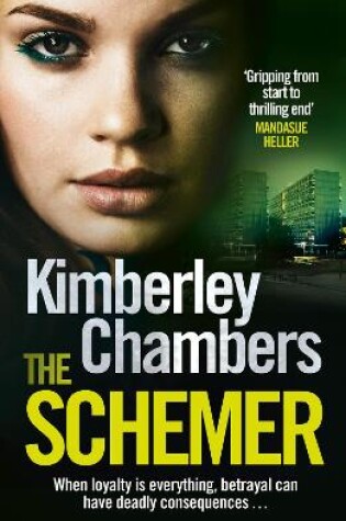 Cover of The Schemer