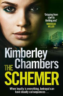 Book cover for The Schemer