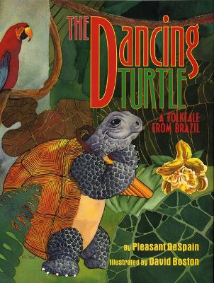 Book cover for The Dancing Turtle