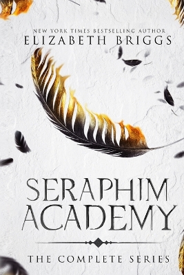 Book cover for Seraphim Academy