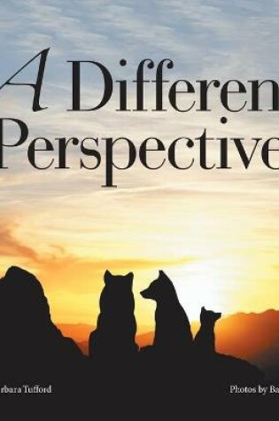 Cover of A Different Perspective