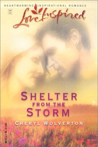 Cover of Shelter from the Storm