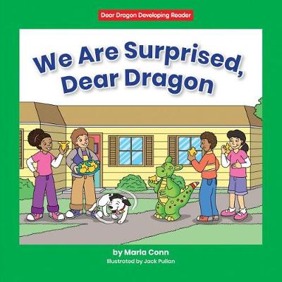 Book cover for We Are Surprised, Dear Dragon