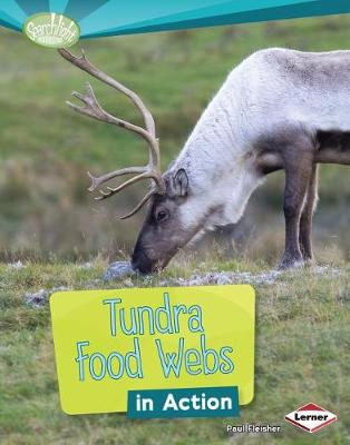 Cover of Tundra Food Webs in Action