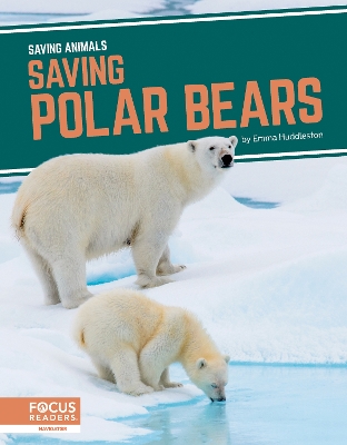 Book cover for Saving Animals: Saving Polar Bears