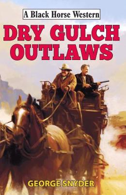 Book cover for Dry Gulch Outlaws