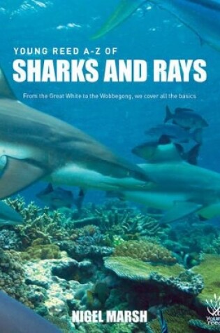 Cover of A-z of Sharks and Rays